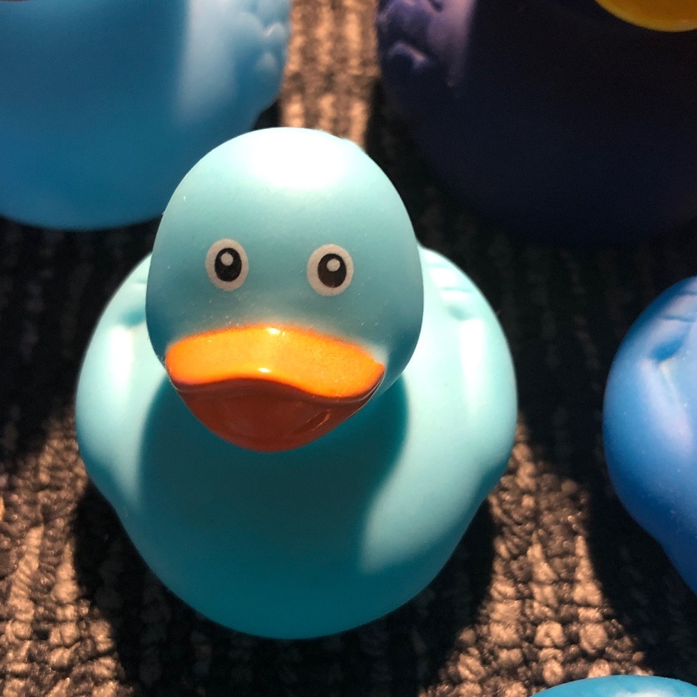 💐 Set of Blue Rubber Ducks - Picture 7 of 9